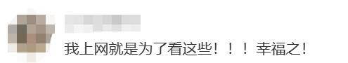 上海女生国外丢失手机,找回后发现多了两段视频,网友:结局意想不到……
