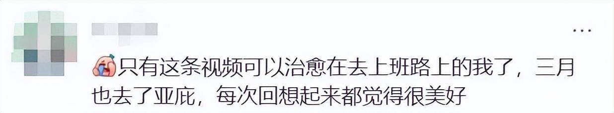 上海女生国外丢失手机,找回后发现多了两段视频,网友:结局意想不到……
