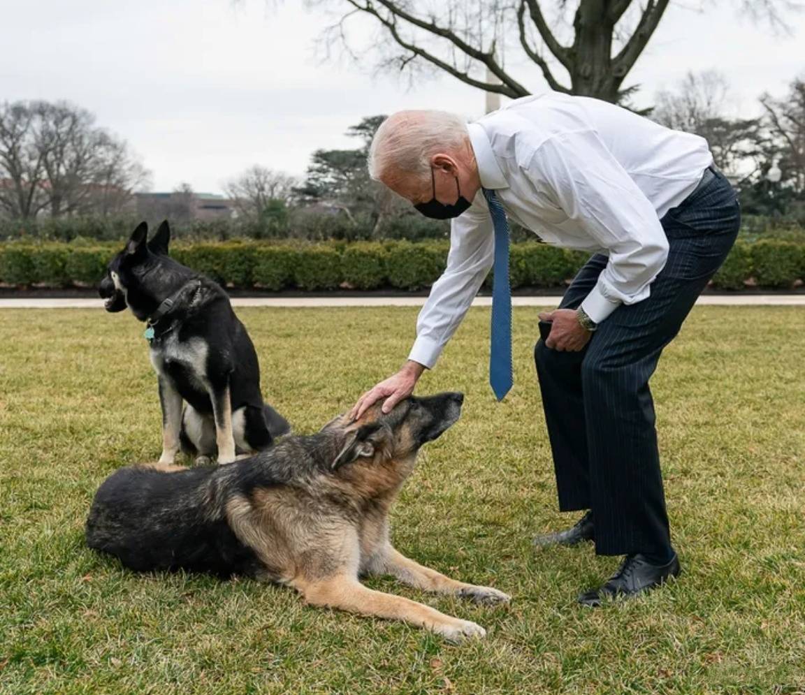 新加坡劝中国放弃自给自足，称美国还有绝招！这个印度裔总统，对华不怀好意