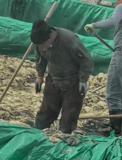 辽宁葫芦岛一男子酸菜池中抽烟吐痰，曝光视频令人反胃！省市两级市监介入