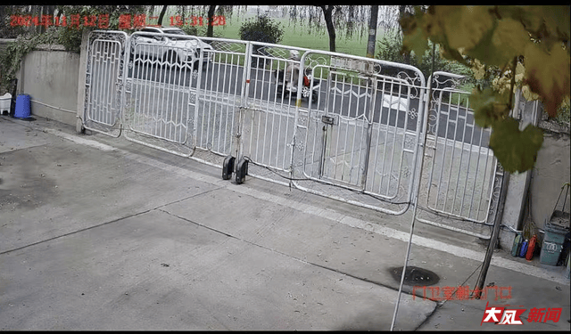 陕西兴平56岁女教师骑电动车“撞树枝”身亡，交警判定担主责，家属提出诸多质疑，多方回应