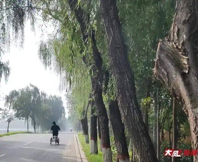 陕西兴平56岁女教师骑电动车“撞树枝”身亡，交警判定担主责，家属提出诸多质疑，多方回应