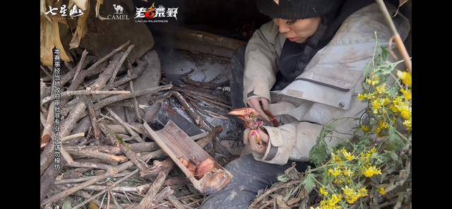 “冷美人”退赛，错失20万奖金