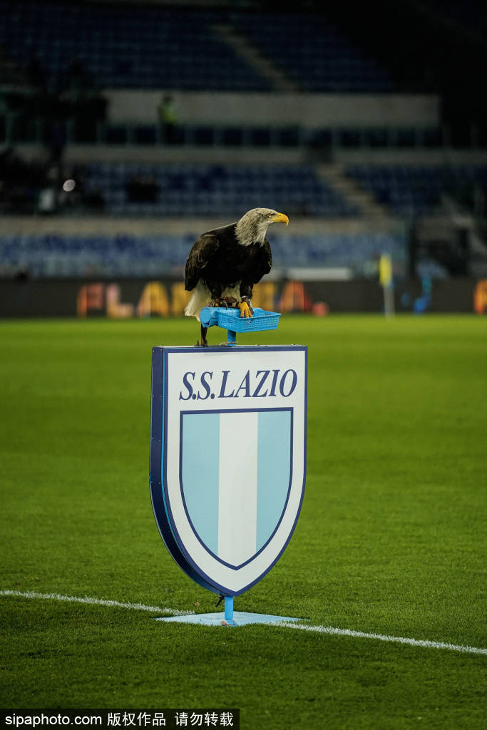 法比奥双响助力国安,2-0击败河南进军足协杯决赛!