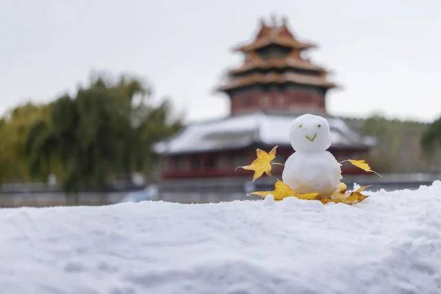 北京周五的雪“稳”了!大部中雪、局地暴雪,但故宫周六的票约满了……