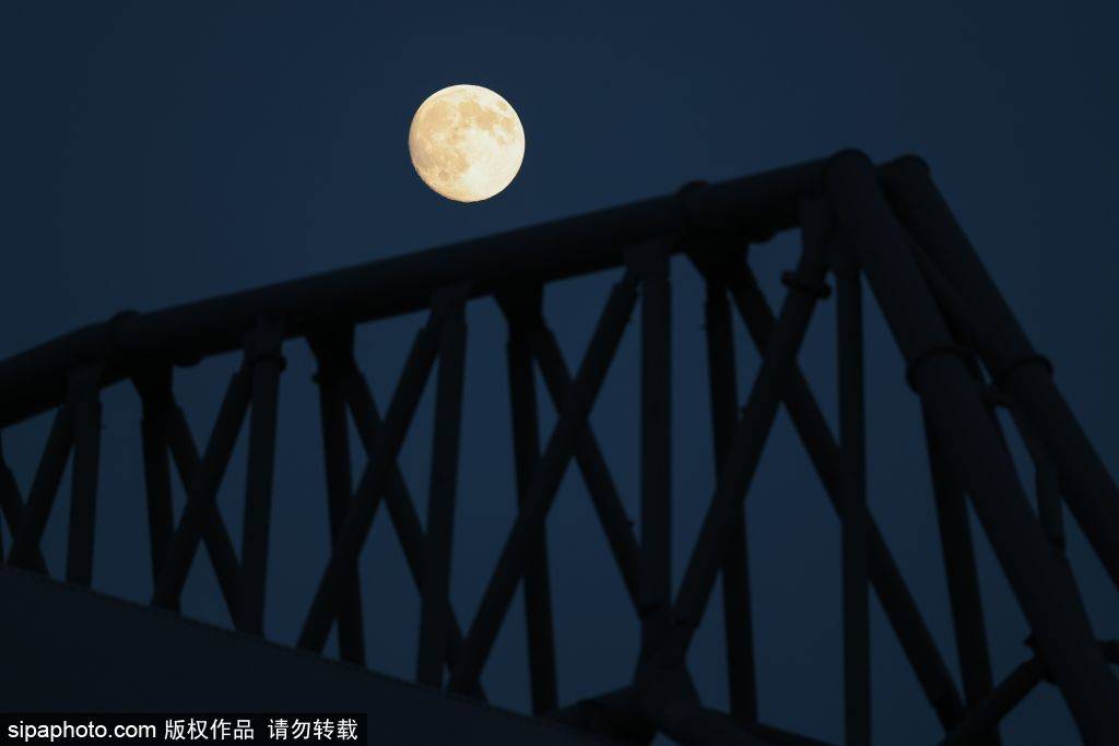 利物浦9500万挖角国米中卫 巴斯托尼将刷新后卫转会纪录?