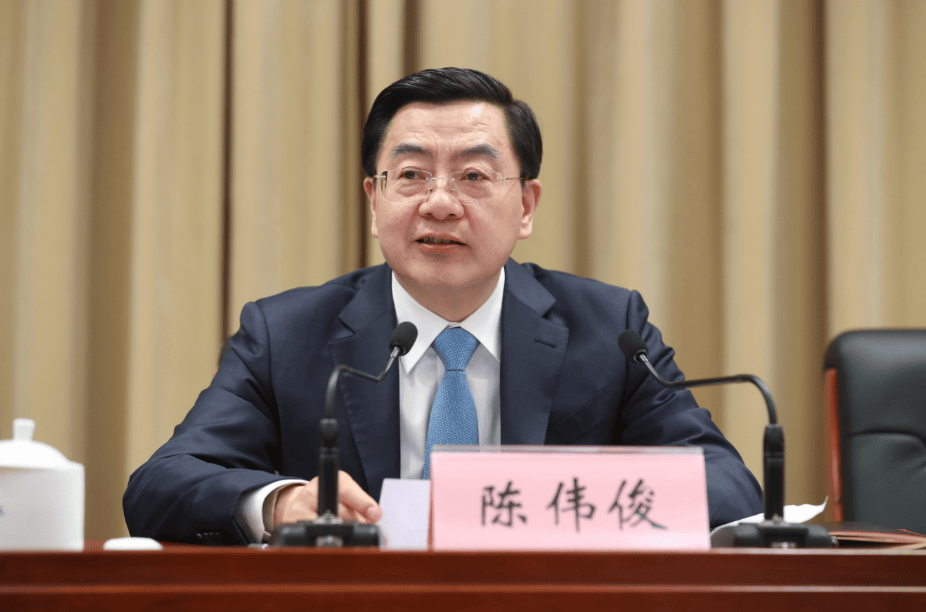 新疆维吾尔自治区人民政府副主席陈伟俊被免职