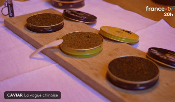 “在法国,可以毫无顾虑地说,这些鱼子酱产自中国”