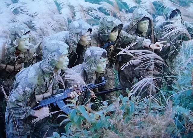 正视差距！中国想复刻美国特种兵“斩首”某岛还缺什么？