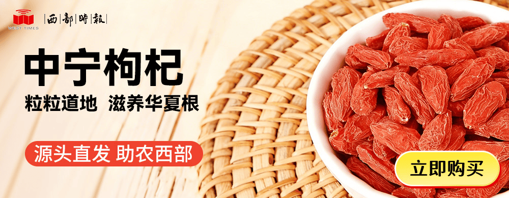 贪慕虚荣、追求享乐、对家属失管失教！内蒙古自治区政府原主席王莉霞被“双开”