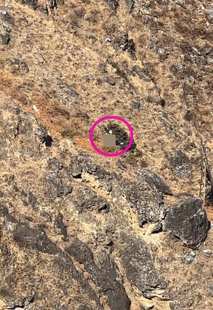 游客目击男童虎跳峡坠崖遇难:事发1米多宽的野外路段,当时风很大,3人来玩没跟团