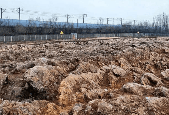 山东一地修高铁站，挖出约5亿年前石海，网友建议建成地质博物馆