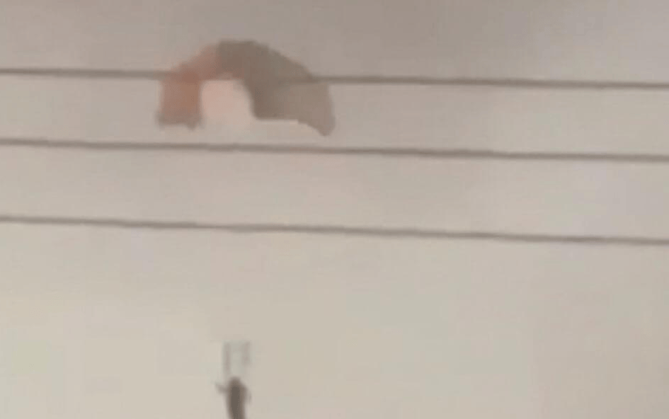 美军出现重大失误，伊朗战机火线死里逃生，3架F-15反“被击落”