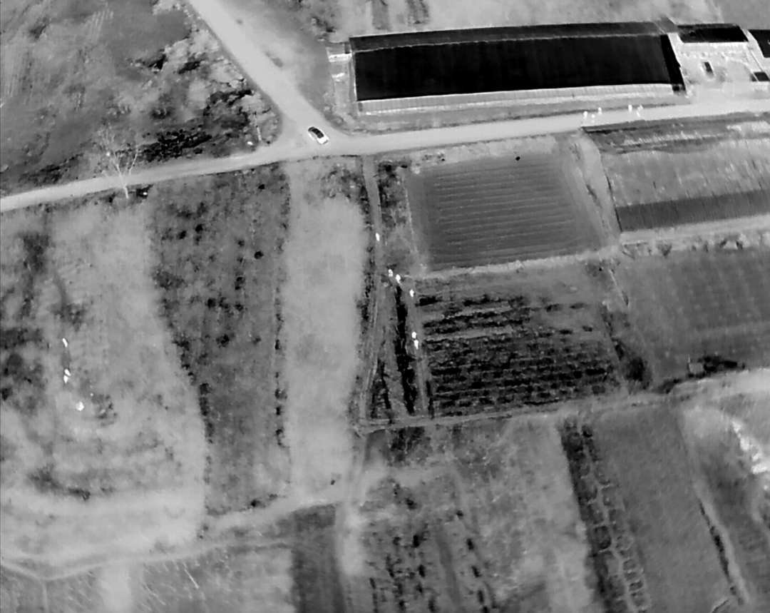 5人夜盗将军墓,被无人机全程锁定现场抓获!