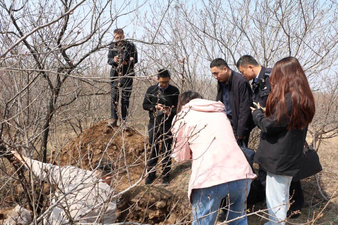 5人夜盗将军墓,被无人机全程锁定现场抓获!