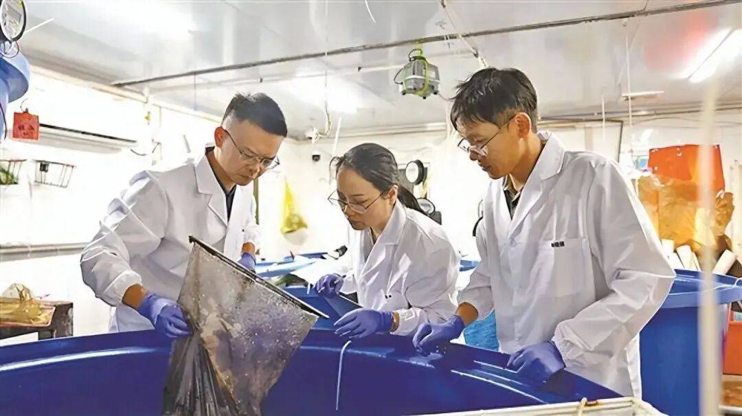 日本人吃了30年中国鳗鱼，还想反过来卡我们脖子？