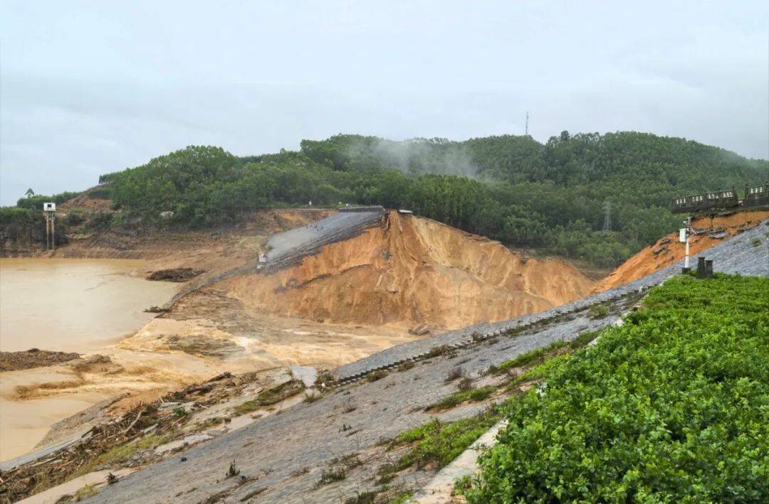广西横州洪水致养蛇场近900条蛇出逃,包括眼镜蛇、王锦蛇和水律蛇,一村民被蛇咬伤正在抢救……