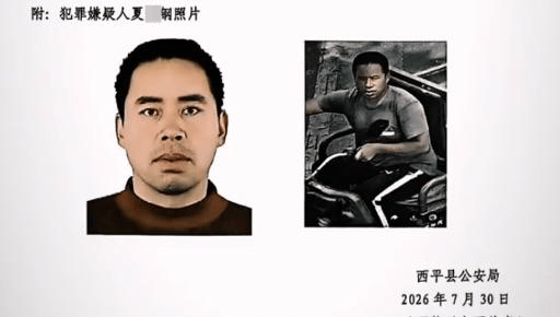 逃亡十日，河南西平县犯罪嫌疑人夏某钢被抓获 曾有人造谣被行政处罚