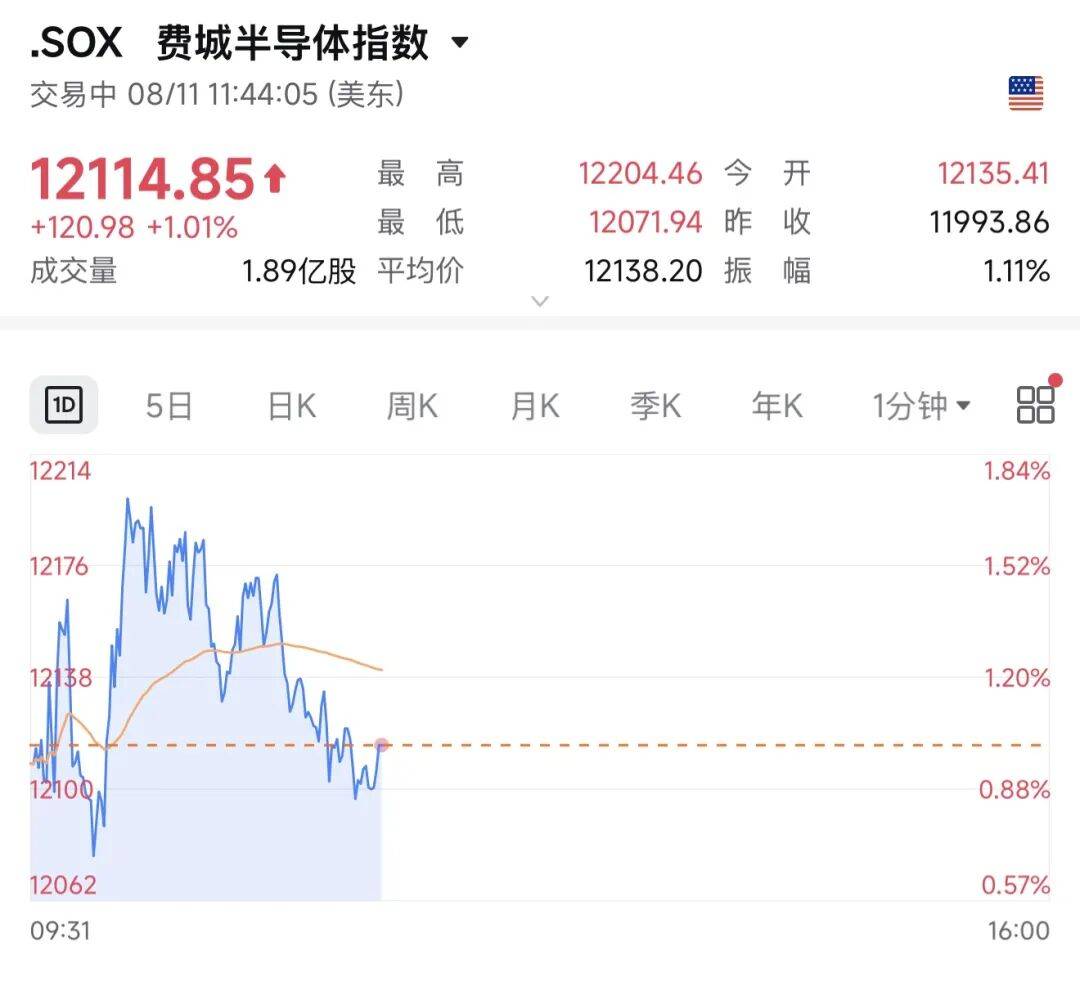 今夜,美股震荡跳水!存储芯片,上涨