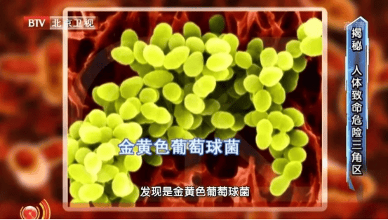 尽快扔掉!“甲醛超标”冲上热搜,很多深圳人爱囤家里,比你想象得脏多了!网友炸锅