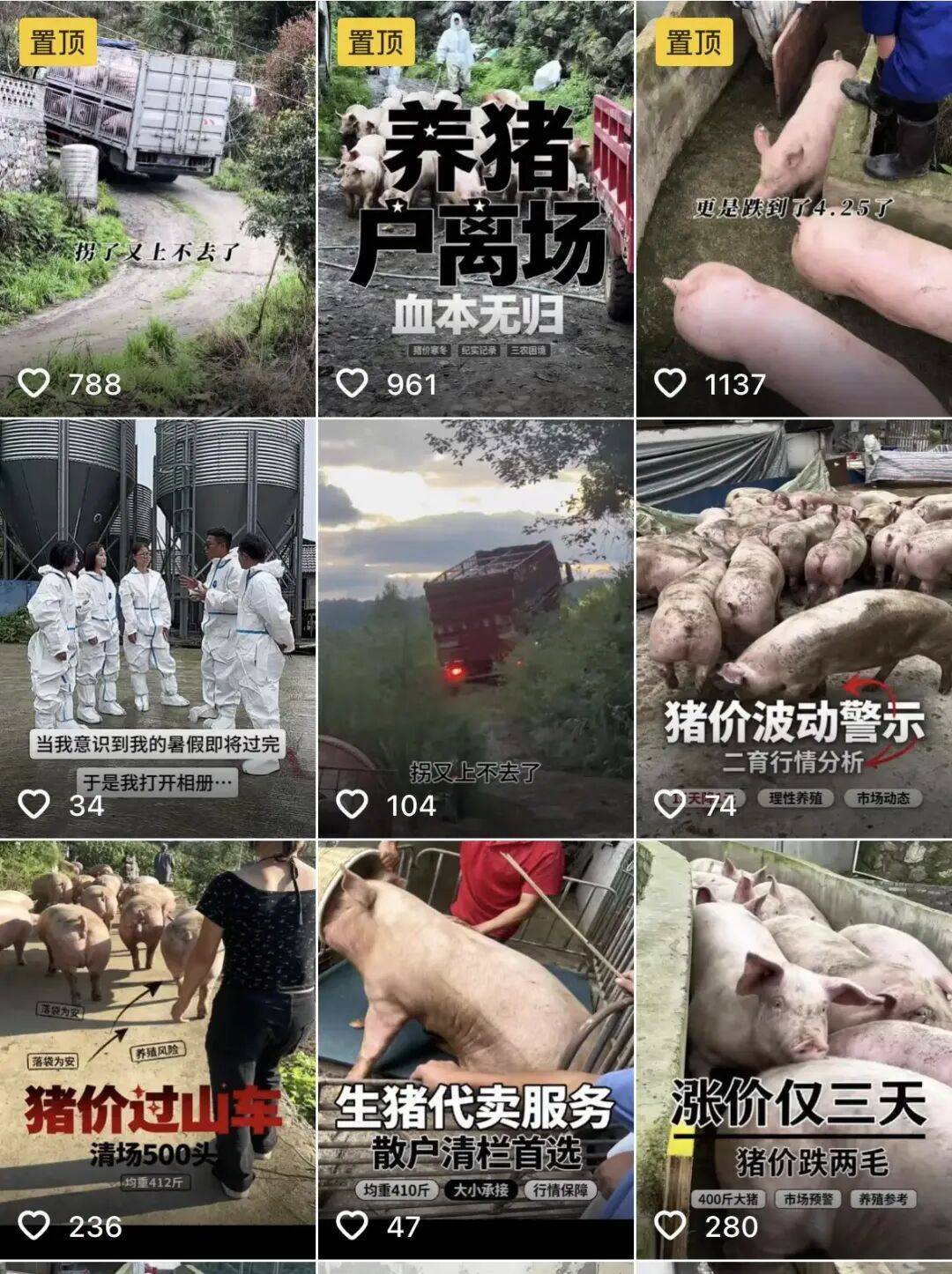 猪价跌入冰点这两年,他见证了近百家猪场的“死亡”