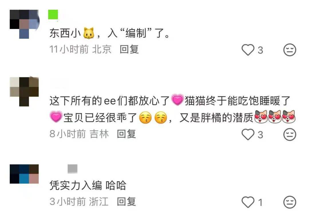 降温前被“收编”，天安门陪武警站岗执勤的小橘猫或将正式入编“宫猫”，故宫博物院工作人员：正在医院检查，后续会优先找领养
