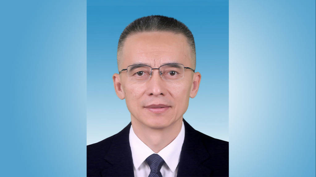 新疆维吾尔自治区政府副主席、喀什地委书记聂壮当选自治区党委常委